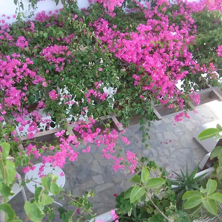 Vocamvilia 아파트