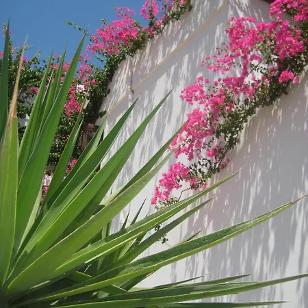 Vocamvilia 아파트 Kamári