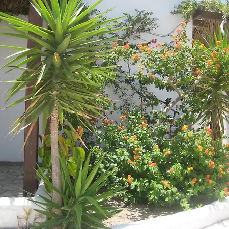 Vocamvilia * Kamári