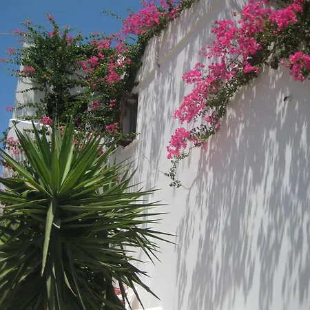 Vocamvilia 아파트