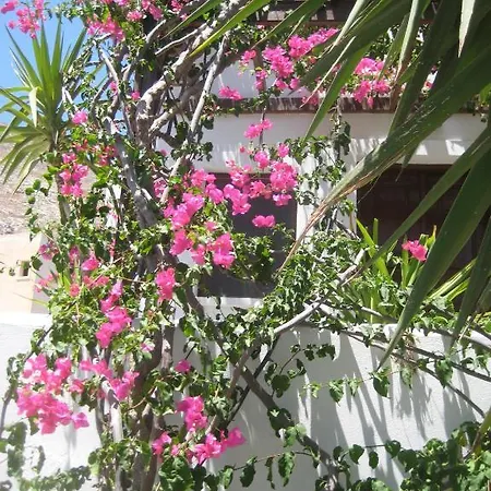 Vocamvilia * Kamári