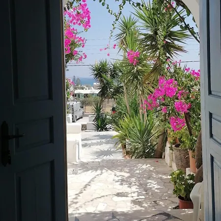 Vocamvilia * Kamári