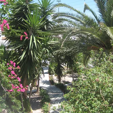 Vocamvilia * Kamári