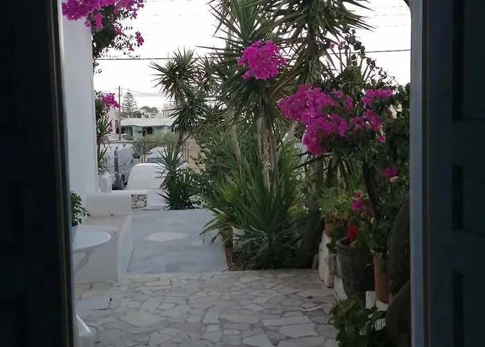 Apartament Vocamvilia *