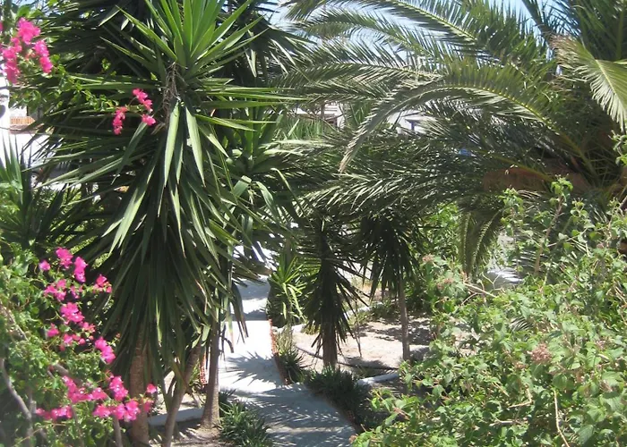 Vocamvilia * Kamári