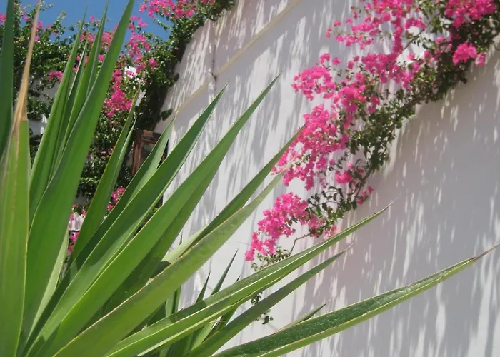 Vocamvilia Apartament Kamári