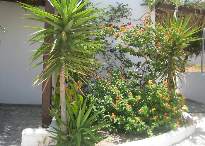 Vocamvilia * Kamári