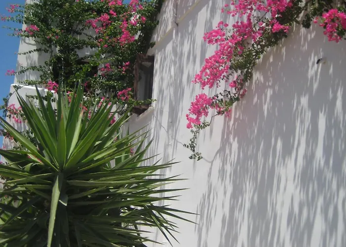 Vocamvilia Apartament