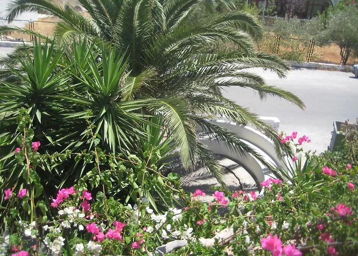 Vocamvilia * Kamári