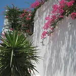 Vocamvilia Apartman