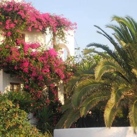 Vocamvilia Камари