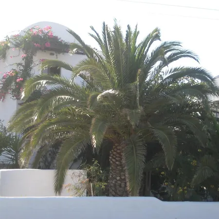 Vocamvilia Камари