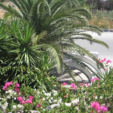 Vocamvilia * Kamári