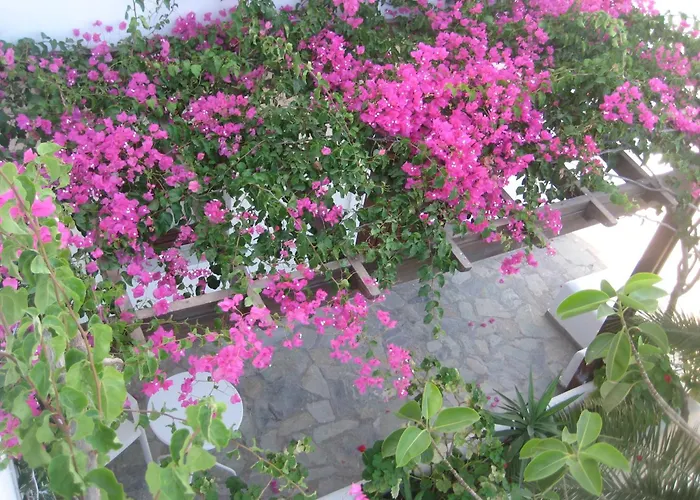 Vocamvilia Lejlighed