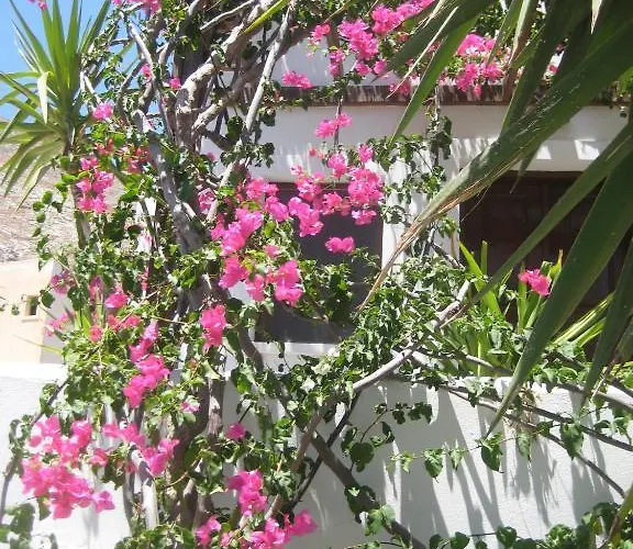 Vocamvilia * Kamári