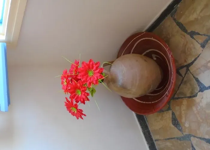 Vocamvilia * Kamári